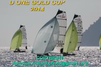 d one gold cup 2014  copyright francois richard  IMG_0055_redimensionner